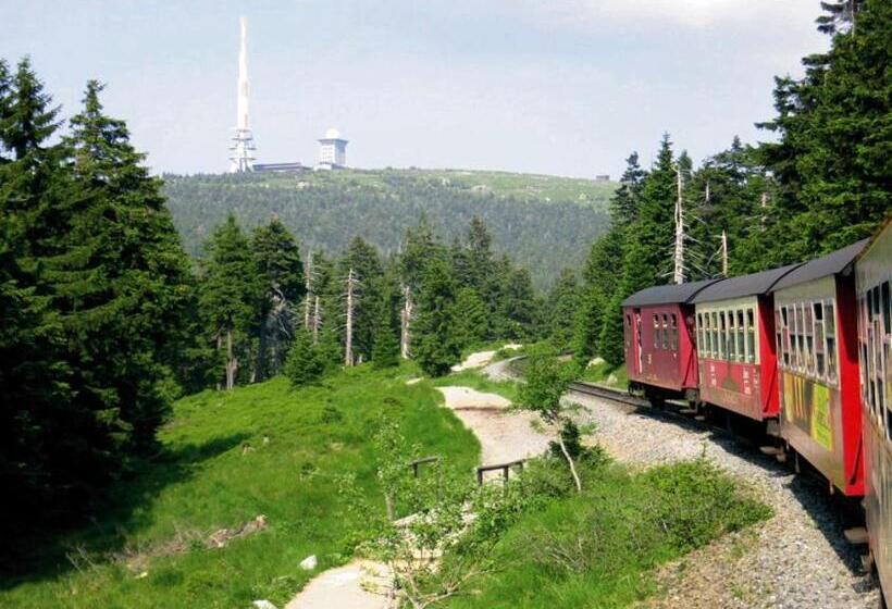 فندق Weißes Roß