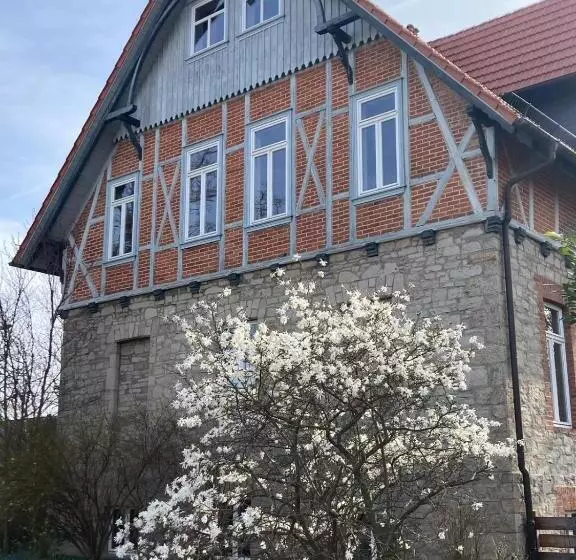 Pensió Gästehaus Musestieg