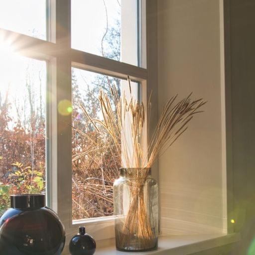 펜션 Landhaus Gut Halte