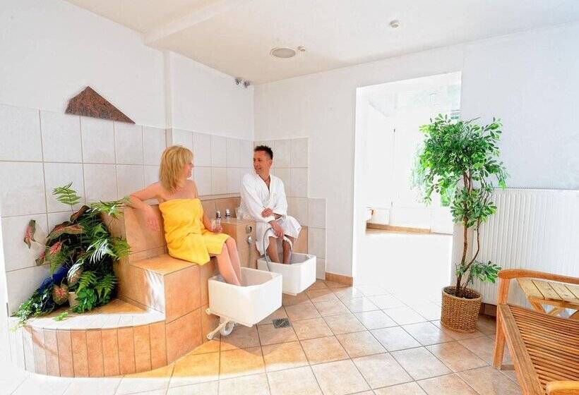Wellnesshotel Rothfuss Mit Spa Und 2 Schwimmbädern