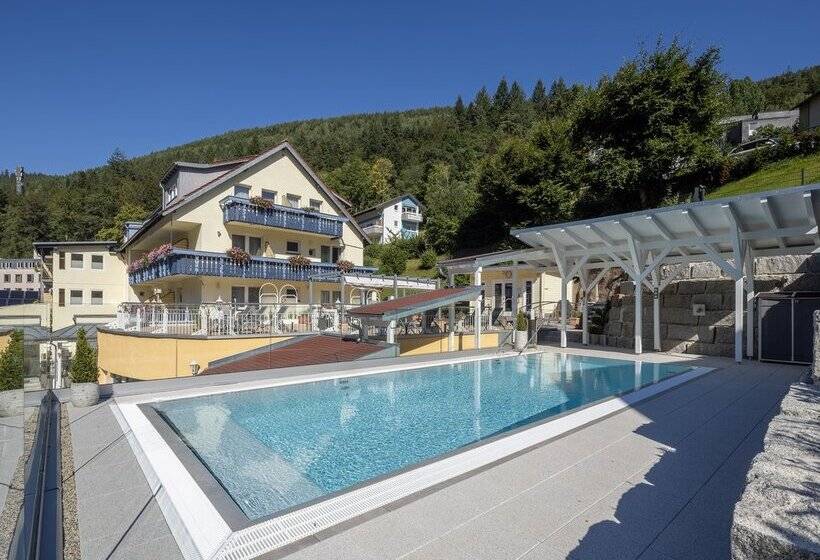 Wellnesshotel Rothfuss Mit Spa Und 2 Schwimmbädern