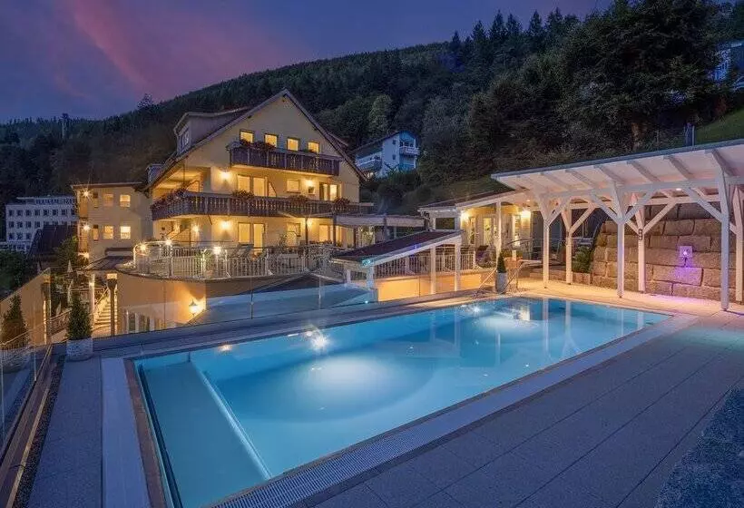 Wellnesshotel Rothfuss Mit Spa Und 2 Schwimmbädern
