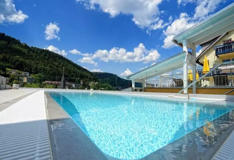 Wellnesshotel Rothfuss Mit Spa Und 2 Schwimmbädern