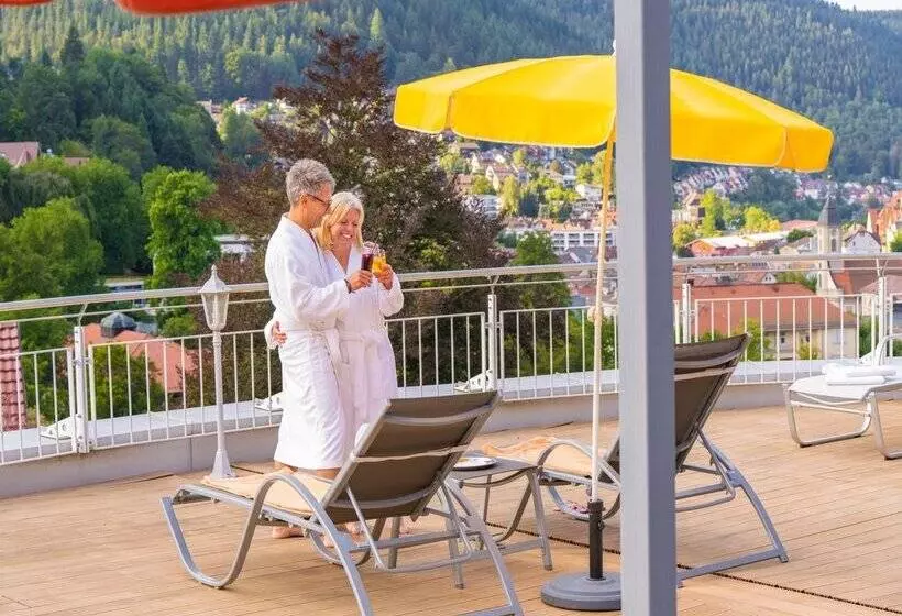 Wellnesshotel Rothfuss Mit Spa Und 2 Schwimmbädern