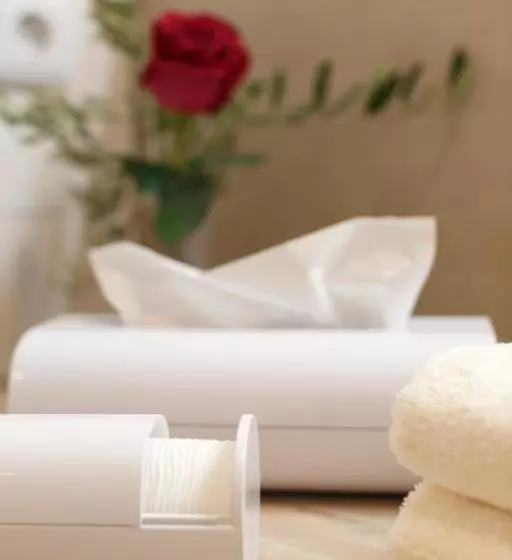 Apartment Goldener Kranich