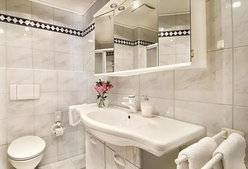 Aslan Kurpark Villa Olsberg