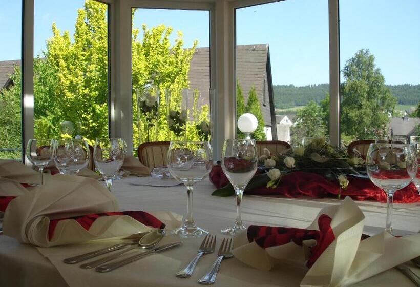 Aslan Kurpark Villa Olsberg