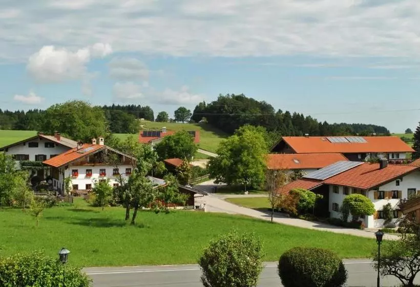 Отель Landgasthof Goldener Pflug
