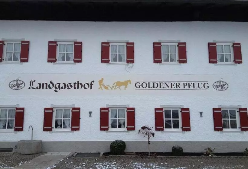 Отель Landgasthof Goldener Pflug