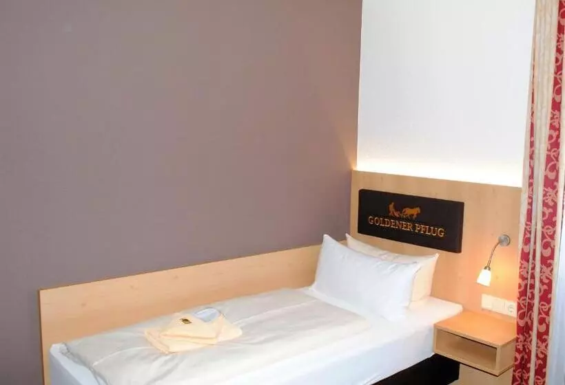 Отель Landgasthof Goldener Pflug