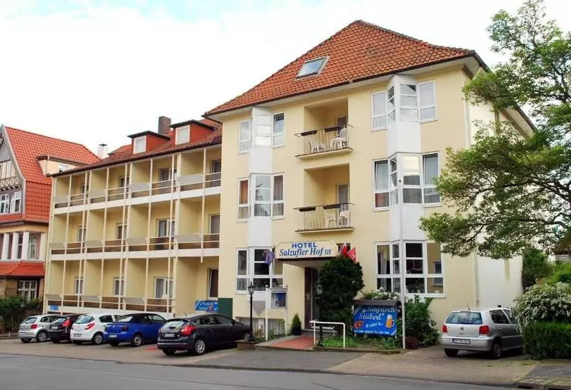 Отель Salzufler Hof