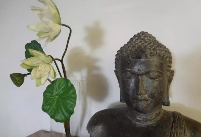 Отель Salzufler Hof