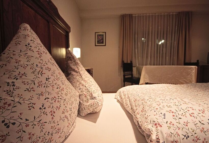 호텔 Zum Schwan Weilerswist