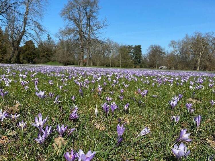 Landhaus Worlitzer Hof