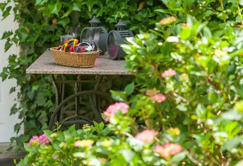 بنسيون Gästehaus Schloss Bothmer