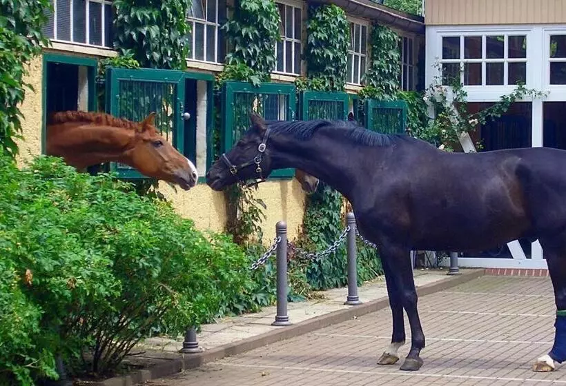 بنسيون Gästehaus Schloss Bothmer