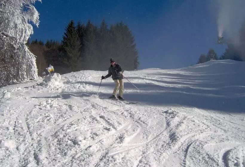 Пансион Haus Waldfrieden
