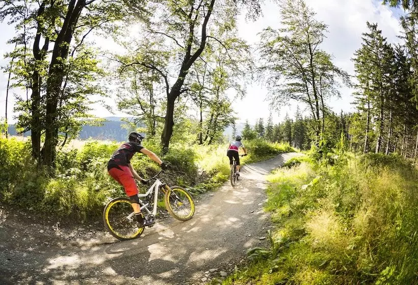 Schröder S Hotelpension