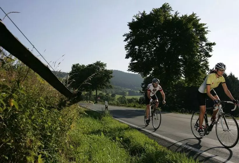 Schröder S Hotelpension