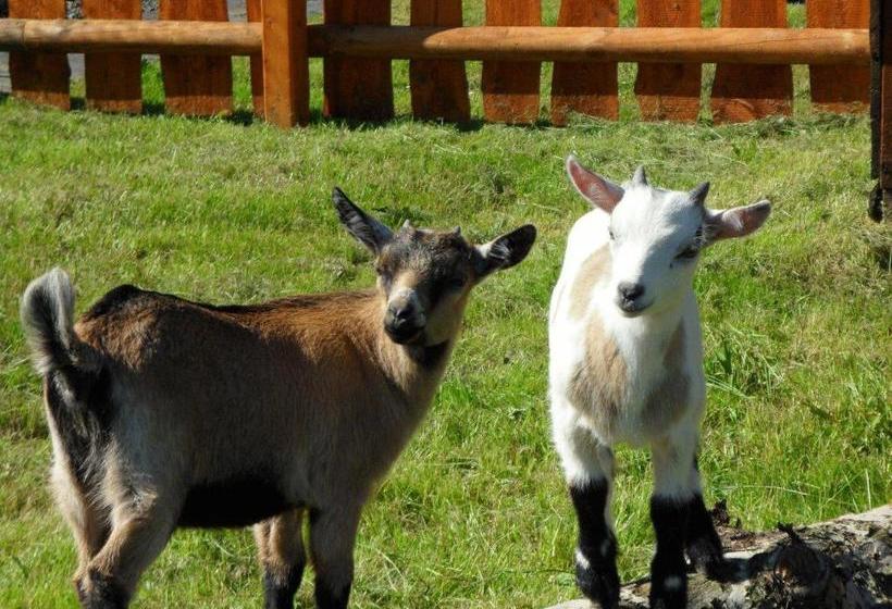 酒店 & Freizeitpark Am Lärchenberg