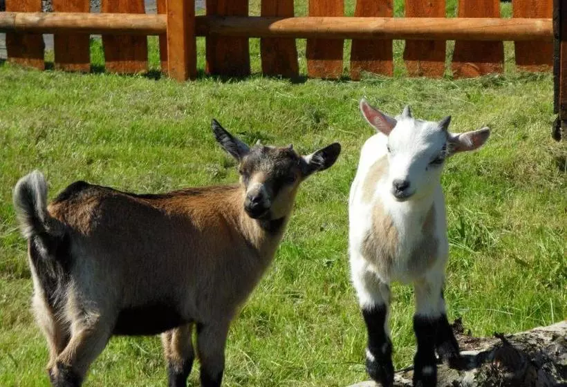 فندق & Freizeitpark Am Lärchenberg