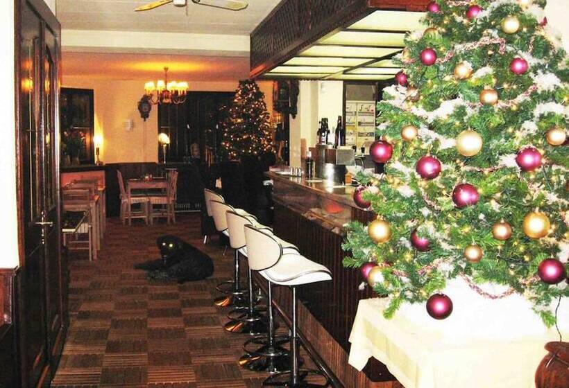 Astoria Hotel Heimbach