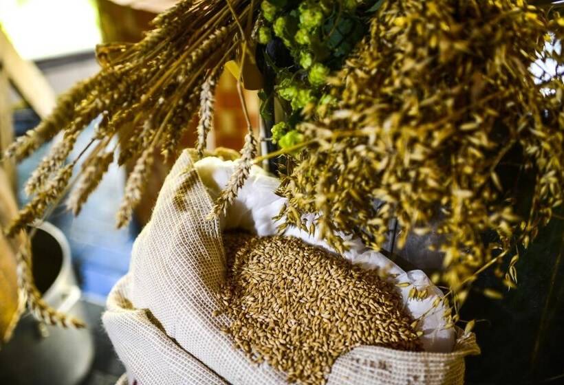 Bed and Breakfast Obermühle Görlitz