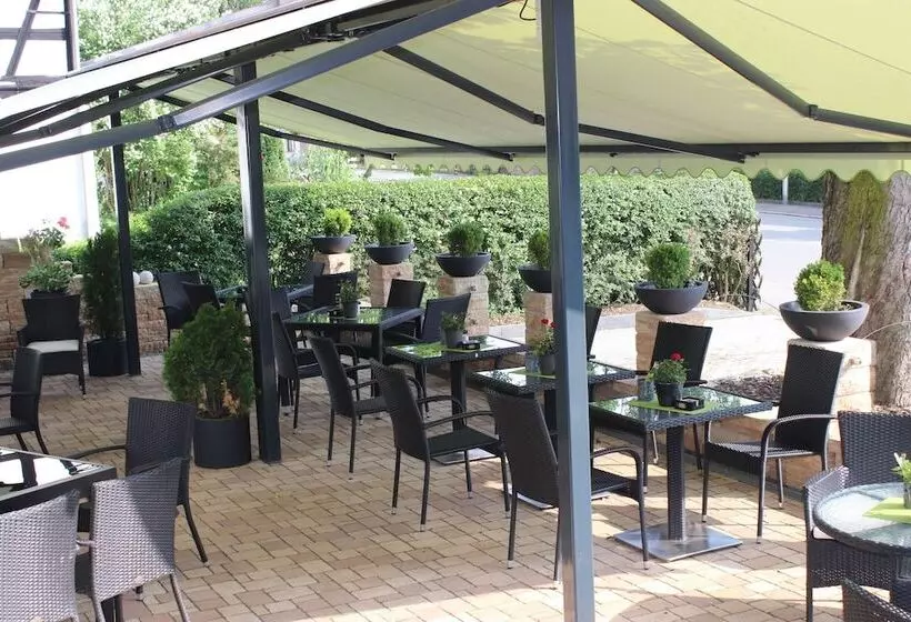 Gasthof Und Pension Frankenthal Garni