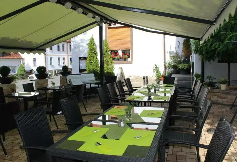 Gasthof Und Pension Frankenthal Garni