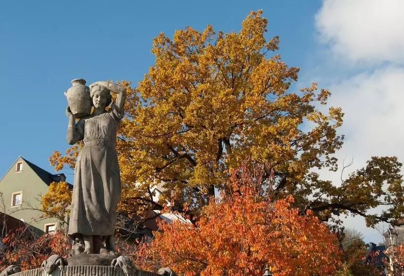 Отель Drei Schwanen  Ristorante Due Fratelli