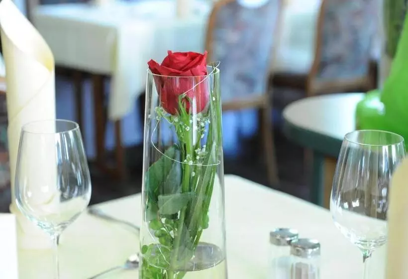 ホテル Gasthaus Appel Krug