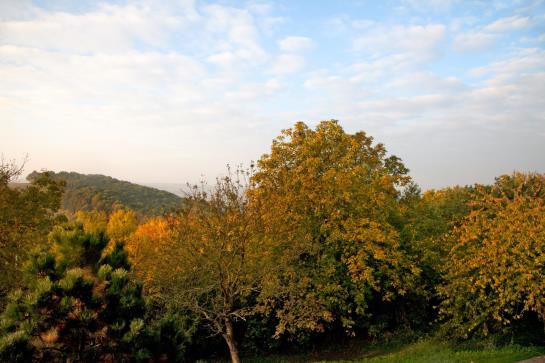 호텔 Green Lemon Haus Krähenhütte