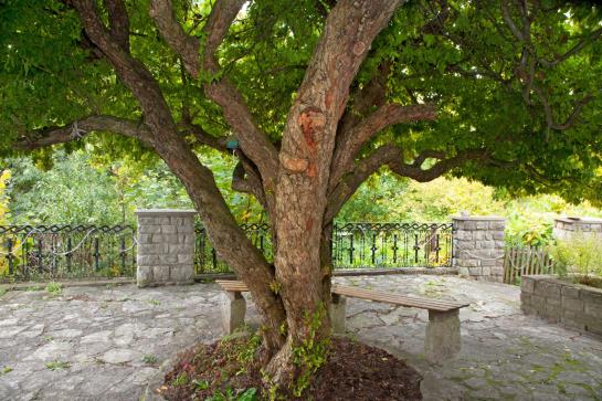 호텔 Green Lemon Haus Krähenhütte