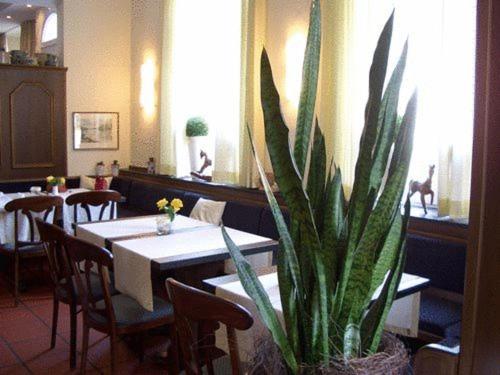 Отель Haus Thoeren