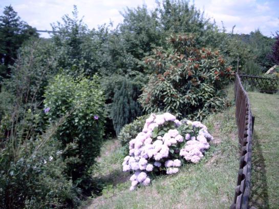 בית מלון כפרי Restaurant Burgschänke