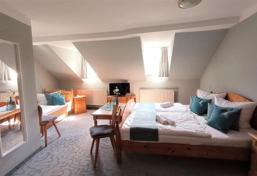 בית מלון כפרי Roß