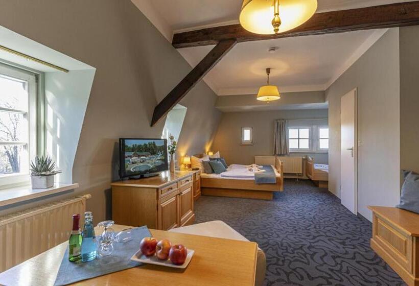 בית מלון כפרי Roß