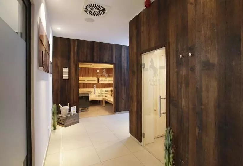 Отель Sachsenross