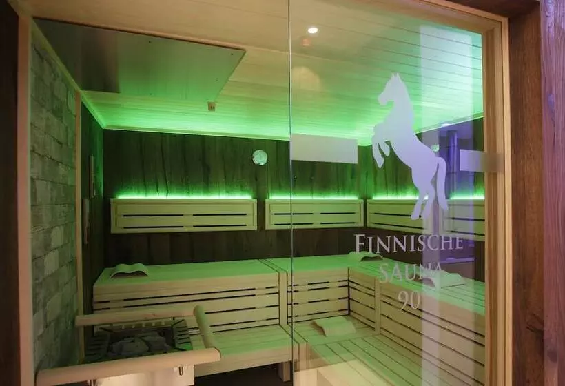 Отель Sachsenross