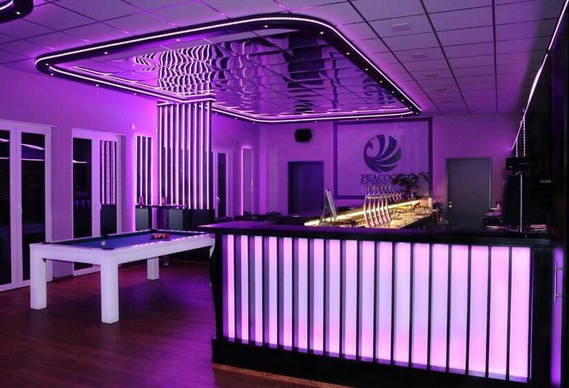 酒店 Spanischer Hof