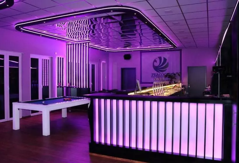 호텔 Spanischer Hof