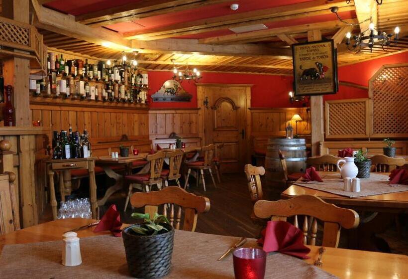 酒店 Spanischer Hof