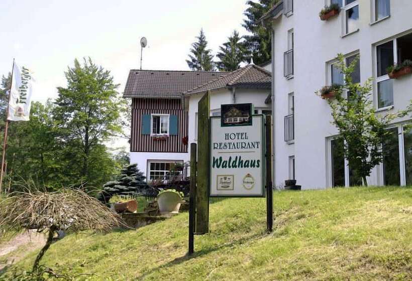 Отель Waldhaus Lauenhain