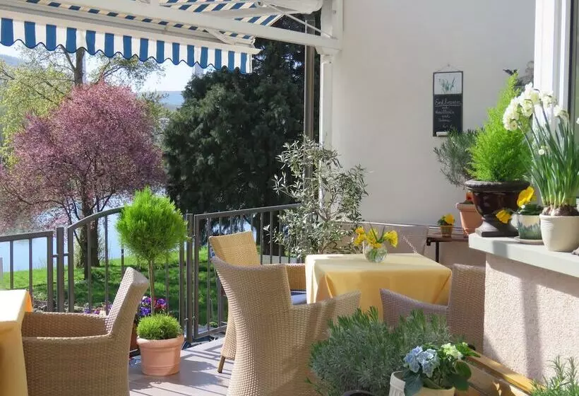 ホテル Zur Traube