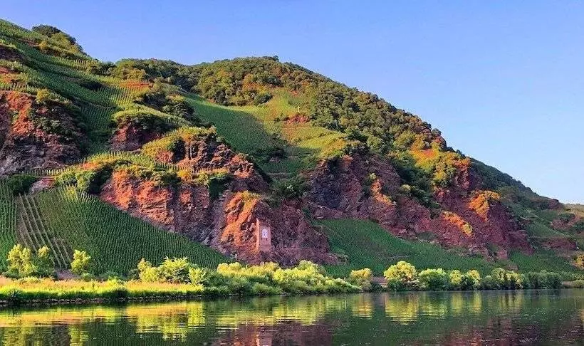 ホテル Zur Traube