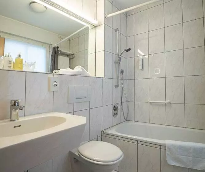 ホテル Zur Traube