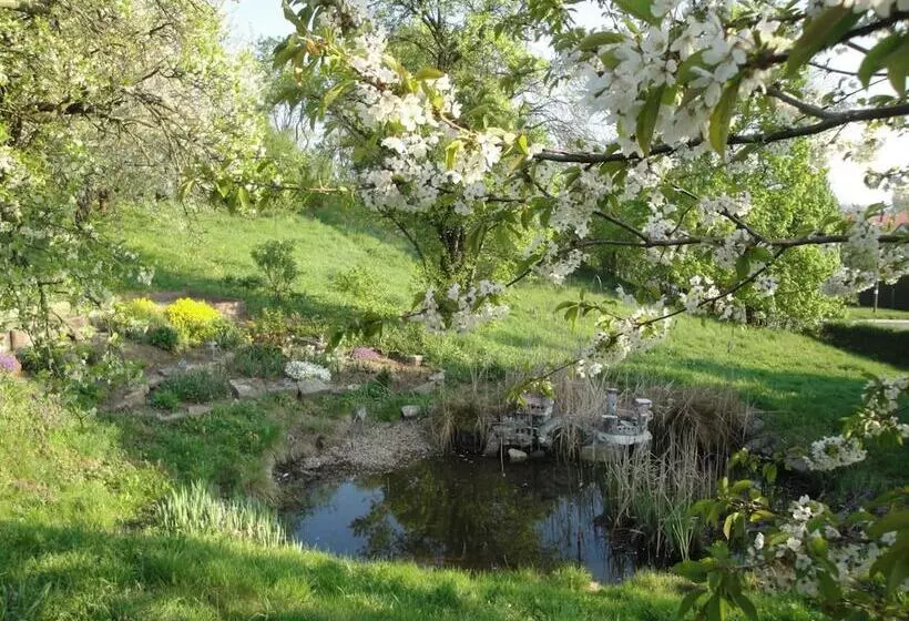 Landhotel Burgenblick Garni & Tagungs