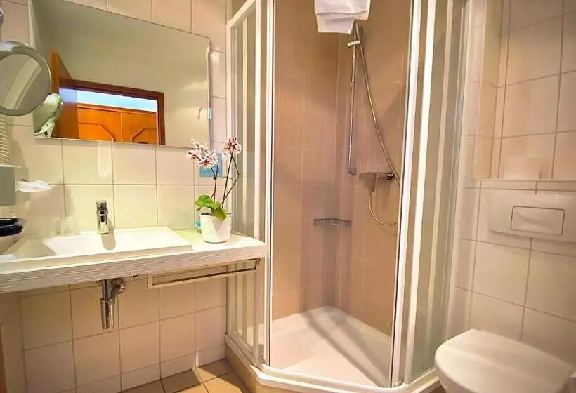 Meister Bär Hotel Wettiner Hof