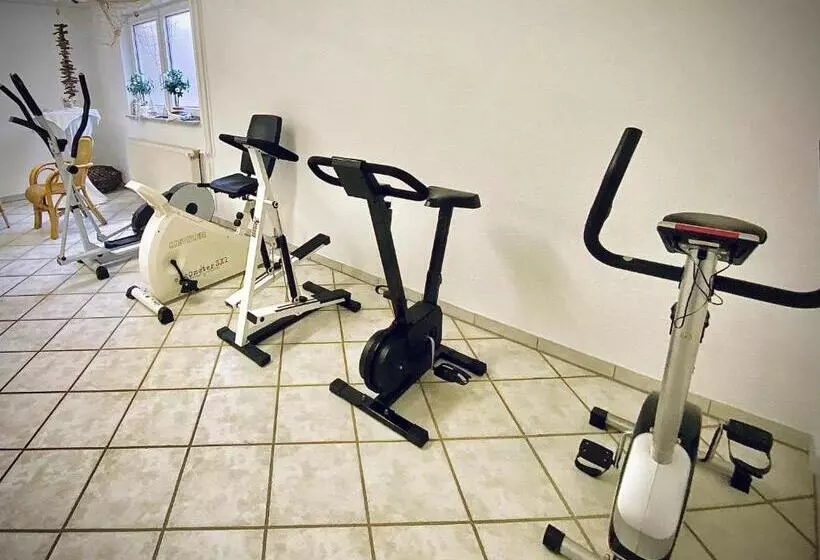 Meister Bär Hotel Wettiner Hof