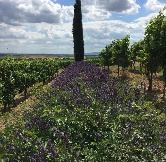 פנסיון Gästehaus Hochmann Stadecken